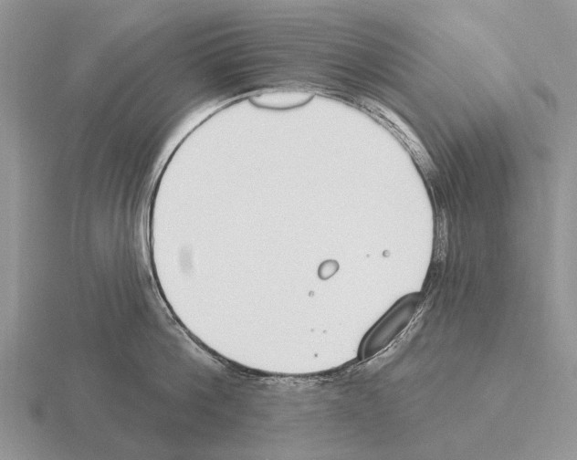 X0000115430812200912161433