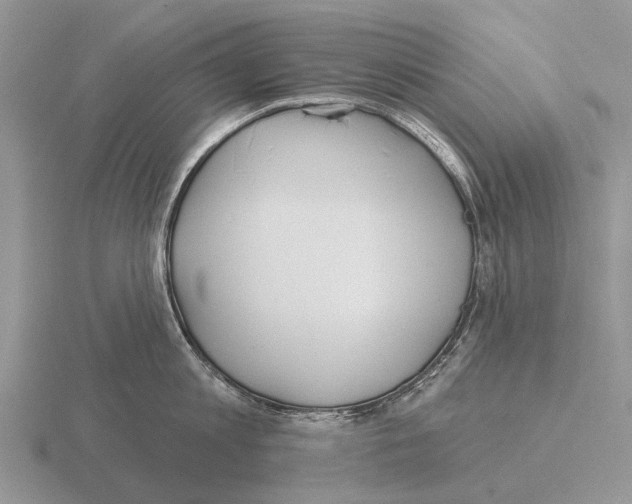 X0000115430813200912161433