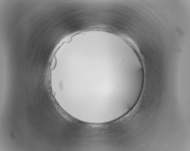 X0000115430816200912161433