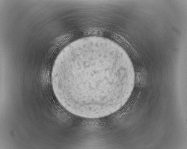 X0000115430820200912161432