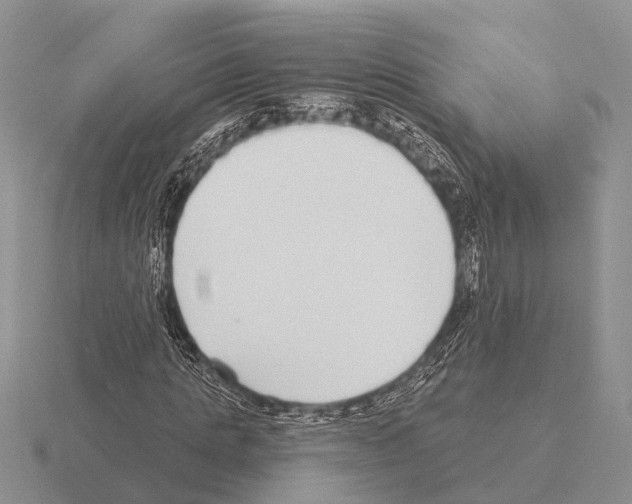 X0000115430821200912161432