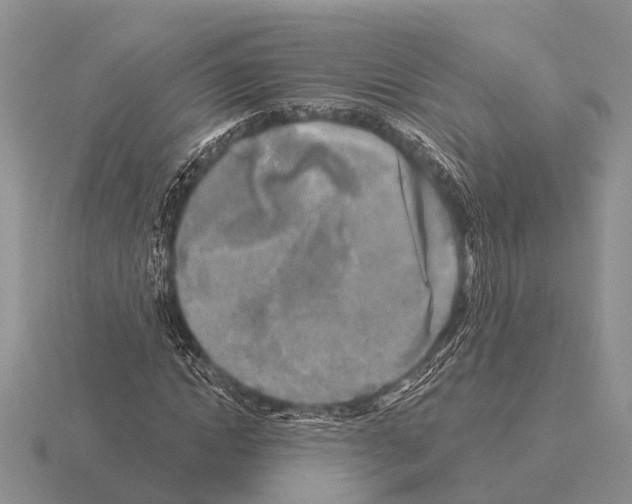 X0000115430822200912161432