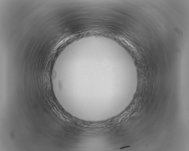 X0000115430824200912161432