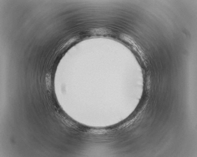 X0000115430825200912161432