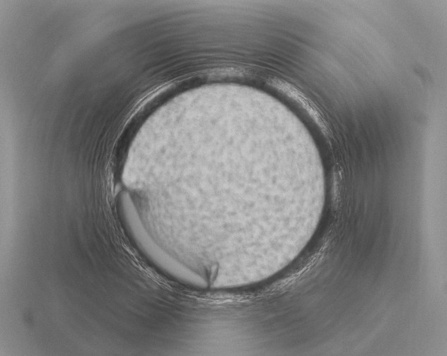 X0000115430829200912161432