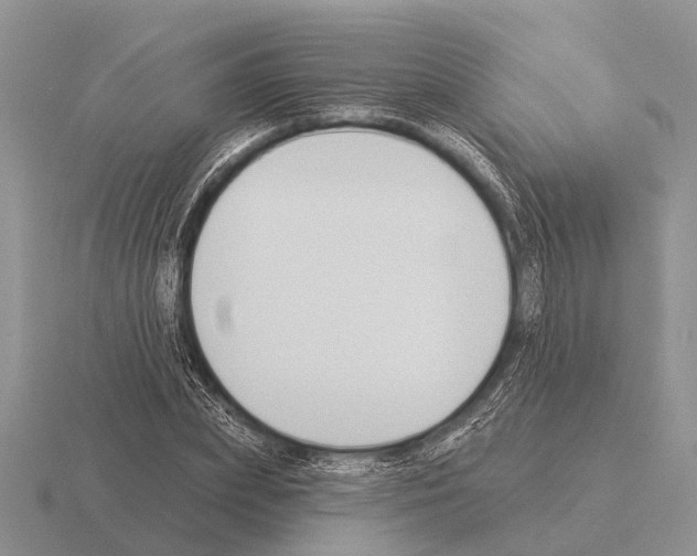 X0000115430831200912161432