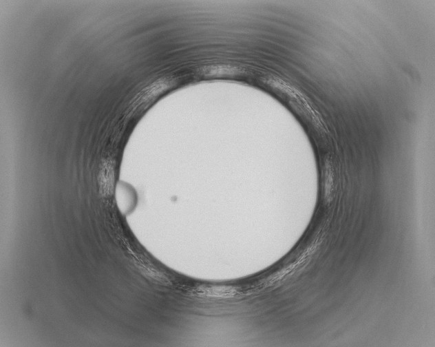 X0000115430833200912161432