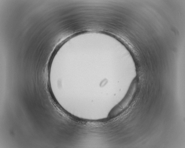 X0000115430840200912161432