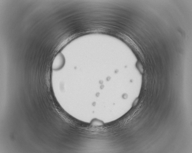 X0000115430842200912161432