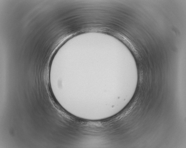 X0000115430844200912161432