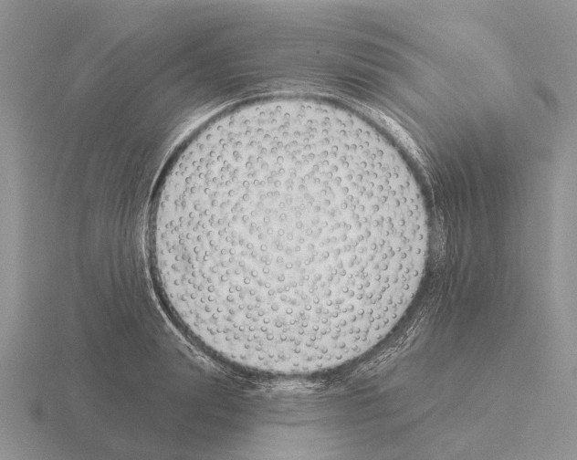 X0000115430847200912161432