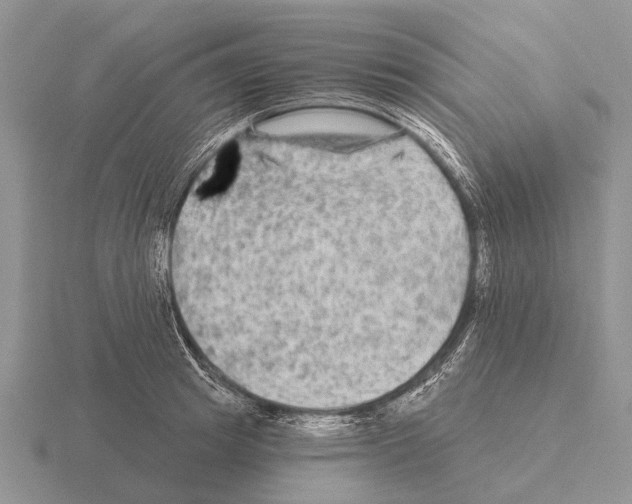 X0000115430849200912161432