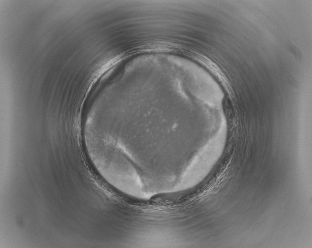 X0000115430850200912161432