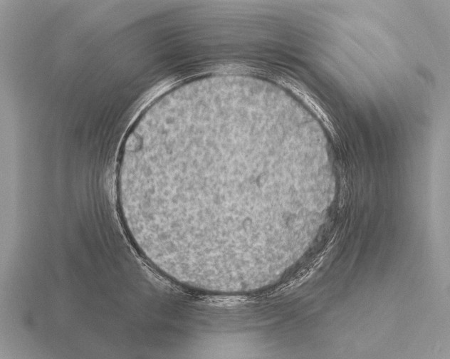 X0000115430853200912161432