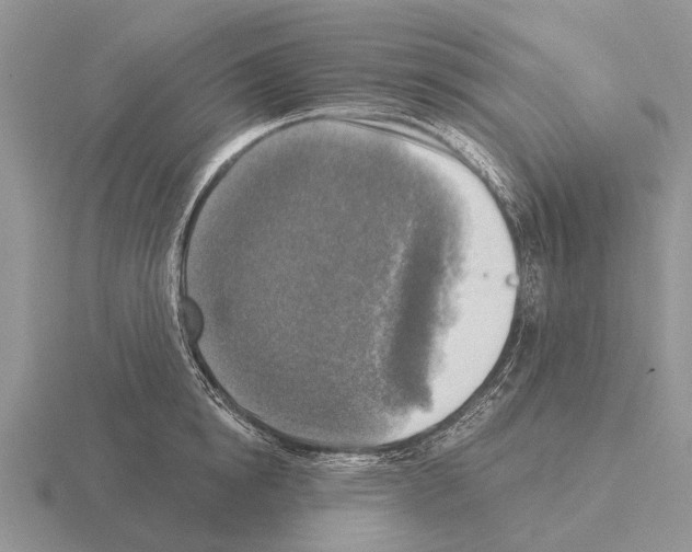 X0000115430854200912161432