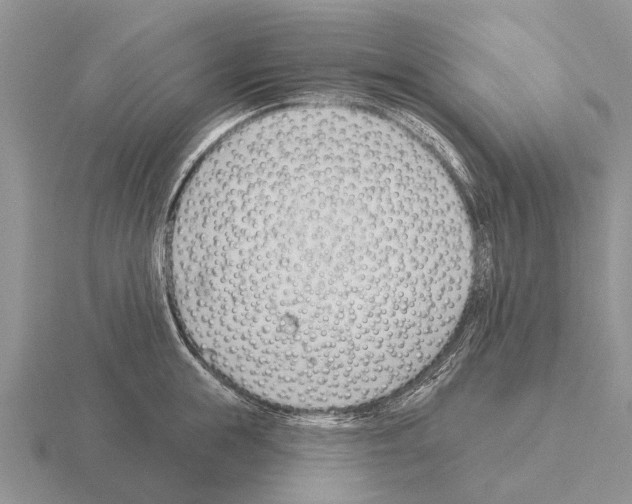 X0000115430855200912161432