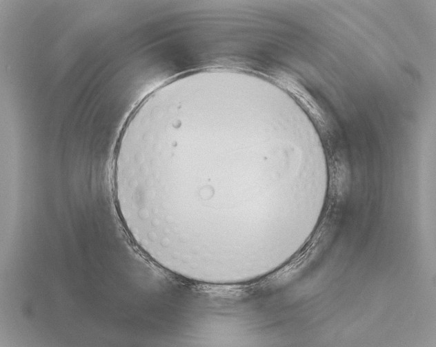 X0000115430856200912161433