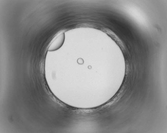 X0000115430860200912161433