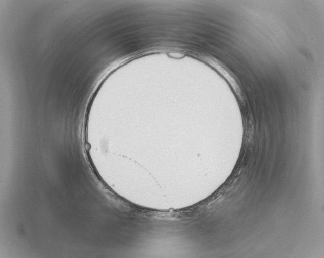 X0000115430861200912161433