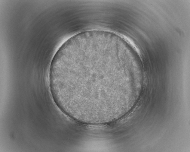 X0000115430863200912161433