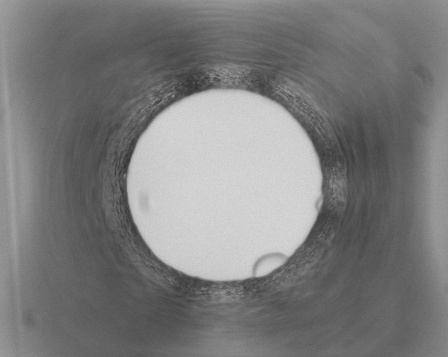 X0000115430865200912161432