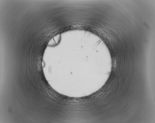 X0000115430868200912161432