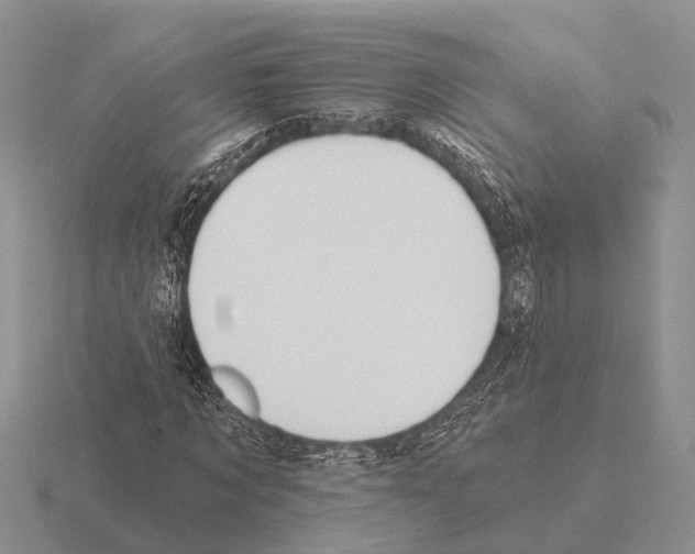 X0000115430869200912161432