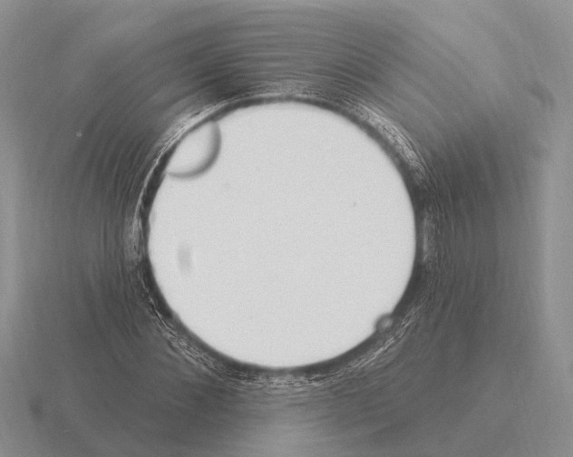 X0000115430876200912161432