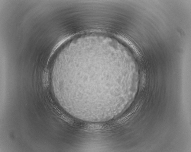 X0000115430878200912161432