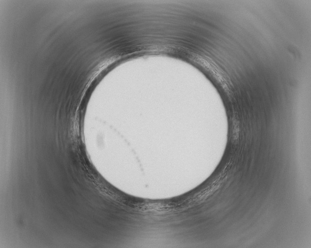 X0000115430883200912161432