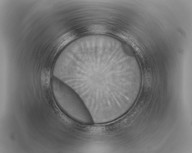 X0000115430889200912161432