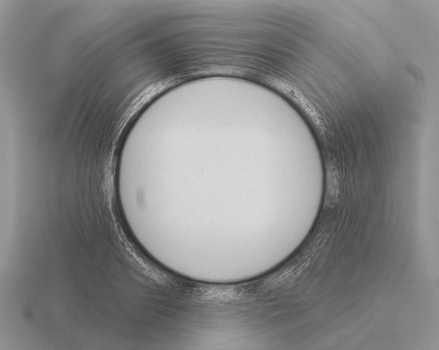 X0000115430890200912161432