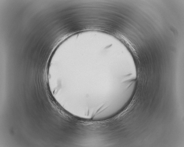 X0000115430892200912161432