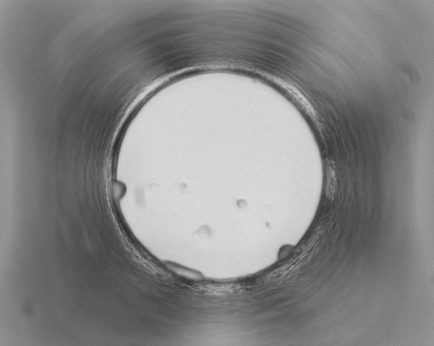 X0000115430895200912161432