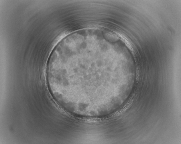 X0000115430899200912161432