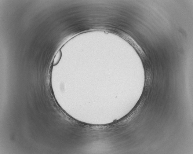 X0000115430908200912161431