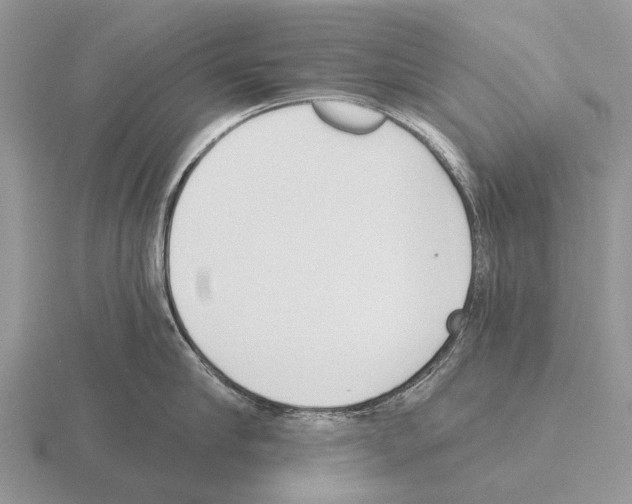 X0000115430910200912161431