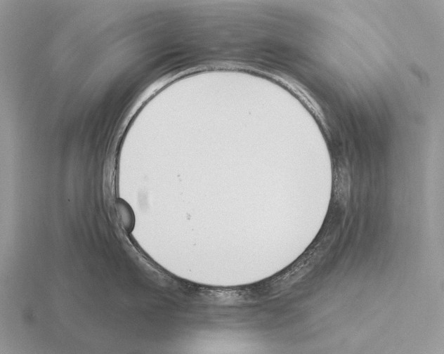 X0000115430911200912161431