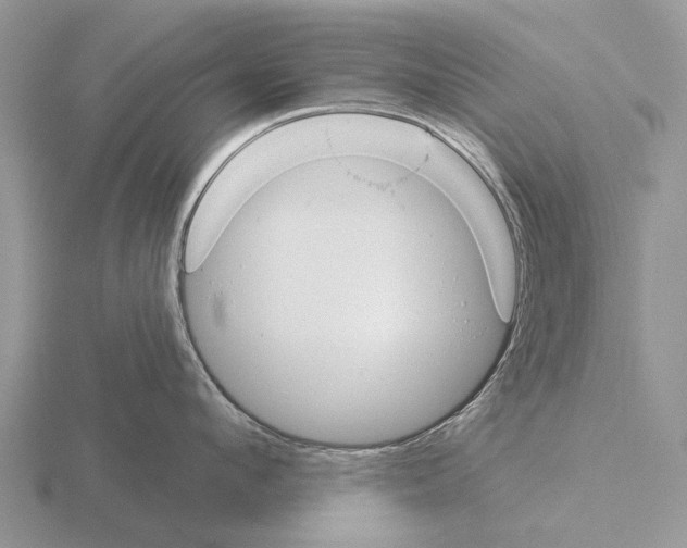 X0000115430912200912161431