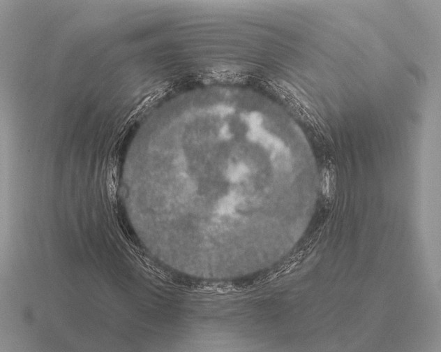 X0000115430915200912161431