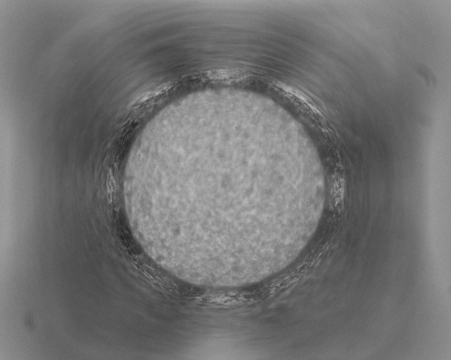 X0000115430917200912161431