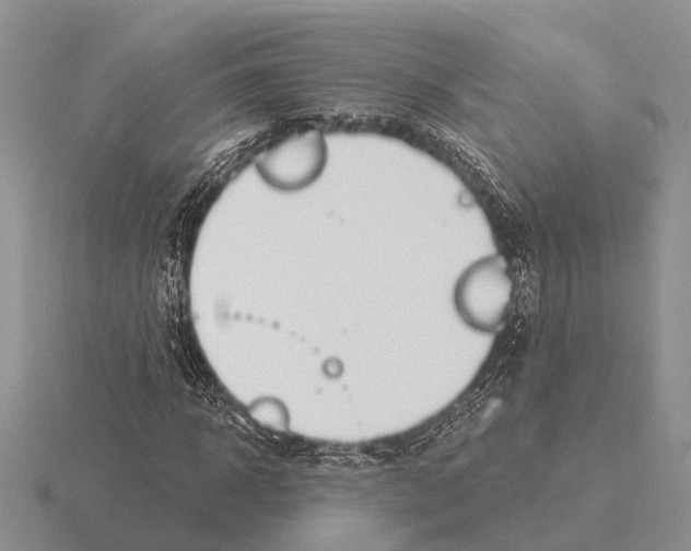 X0000115430918200912161431