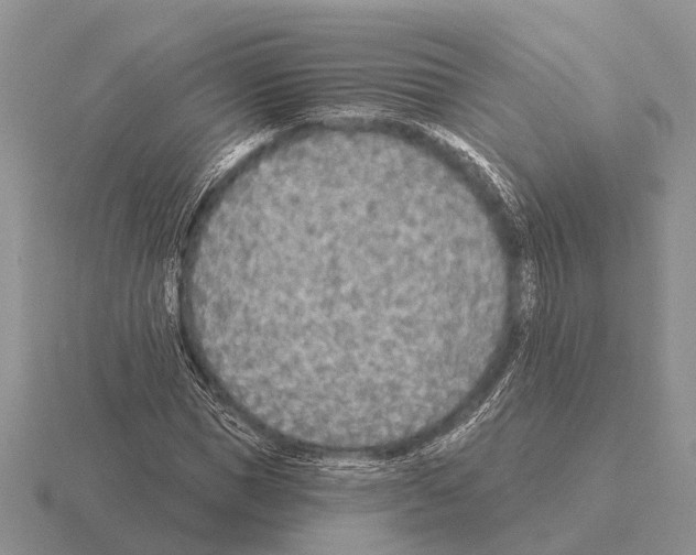 X0000115430921200912161431