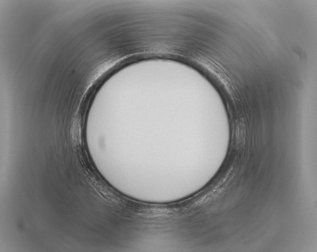 X0000115430925200912161431