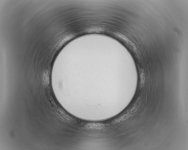 X0000115430929200912161431