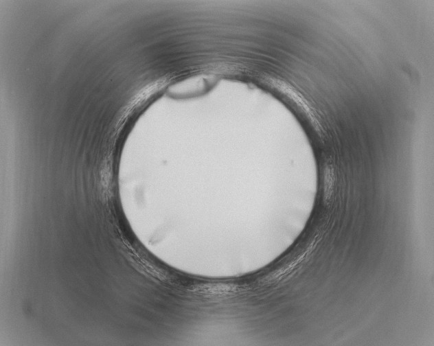 X0000115430930200912161431