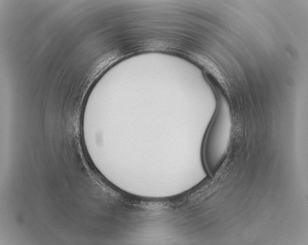 X0000115430946200912161431