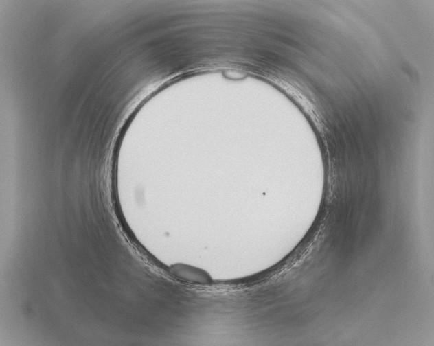 X0000115430949200912161431