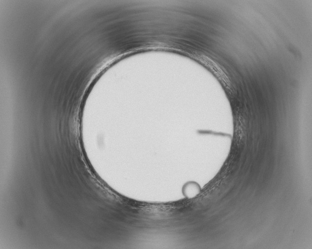 X0000115430950200912161431