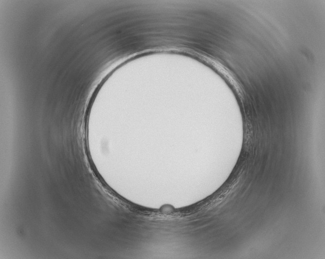 X0000115430951200912161431